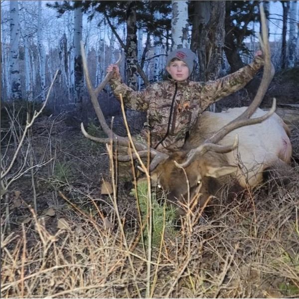 Utah Bull Elk - 1 Hunter