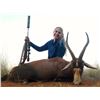 Image 3 : South Africa Wildebeest, Impala, Blesbuck - 2 Hunters 2 Observers