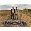 Image 5 : Argentina Dove and Pigeon for 3 Hunters