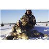 Image 5 : Canadian Wolf Hunt - 2 Hunters