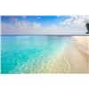 Image 7 : Caribbean All-Inclusive - 4 nights for 2 (Choice of 3 Locations)
