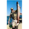 Image 8 : North Dakota Walleye - 2 Anglers