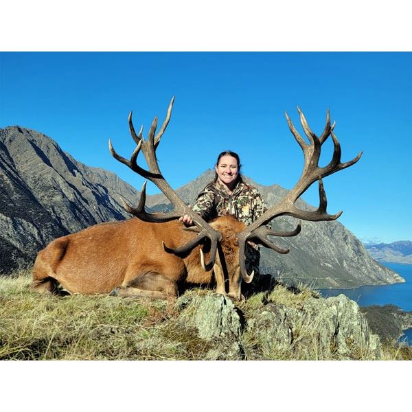 New Zealand Red Stag - 2 Red Stag 2 Hunters