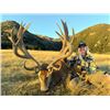 Image 3 : New Zealand Red Stag - 2 Red Stag 2 Hunters