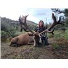 Image 7 : New Zealand Red Stag - 2 Red Stag 2 Hunters