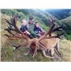 Image 9 : New Zealand Red Stag - 2 Red Stag 2 Hunters