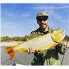 Image 10 : Argentina Dove, Pigion Fishing - 3 People