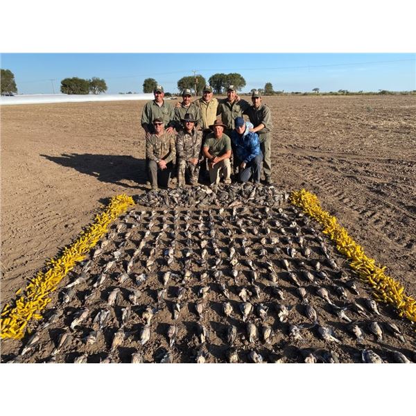 Argentina Dove, Pigion Fishing - 3 People