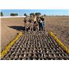 Image 1 : Argentina Dove, Pigion Fishing - 3 People