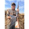 Image 5 : Argentina Dove, Pigion Fishing - 3 People