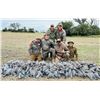Image 7 : Argentina Dove, Pigion Fishing - 3 People
