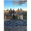 Image 8 : Argentina Dove, Pigion Fishing - 3 People