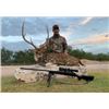 Image 4 : West Texas Exotic Sheep - 2 Hunters