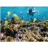 Image 4 : Costa Rica or Belize Vacation - Up to 8 People