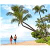Image 8 : Costa Rica or Belize Vacation - Up to 8 People