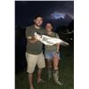 Image 11 : Florida Slam - Gator, Hogs, Iguana, Offshore Fishing - 2 People