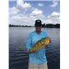 Image 13 : Florida Slam - Gator, Hogs, Iguana, Offshore Fishing - 2 People