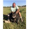 Image 14 : Florida Slam - Gator, Hogs, Iguana, Offshore Fishing - 2 People