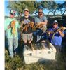 Image 3 : Florida Slam - Gator, Hogs, Iguana, Offshore Fishing - 2 People
