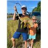 Image 4 : Florida Slam - Gator, Hogs, Iguana, Offshore Fishing - 2 People