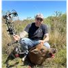 Image 5 : Florida Slam - Gator, Hogs, Iguana, Offshore Fishing - 2 People