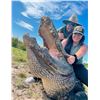 Image 8 : Florida Slam - Gator, Hogs, Iguana, Offshore Fishing - 2 People