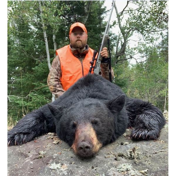 Canada Black Bear - 2 Hunters