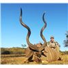 Image 11 : South Africa Wildebeest and Impala - 4 Hunters