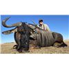 Image 2 : South Africa Wildebeest and Impala - 4 Hunters