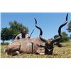Image 7 : South Africa Wildebeest and Impala - 4 Hunters