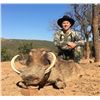Image 9 : South Africa Wildebeest and Impala - 4 Hunters