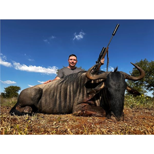 Limpopo South Africa - Wildebeest, Impala, Porcupine - 2 Hunters