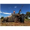 Image 1 : Limpopo South Africa - Wildebeest, Impala, Porcupine - 2 Hunters