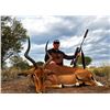 Image 2 : Limpopo South Africa - Wildebeest, Impala, Porcupine - 2 Hunters