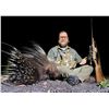 Image 3 : Limpopo South Africa - Wildebeest, Impala, Porcupine - 2 Hunters