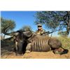 Image 5 : Limpopo South Africa - Wildebeest, Impala, Porcupine - 2 Hunters
