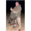 Image 7 : Limpopo South Africa - Wildebeest, Impala, Porcupine - 2 Hunters