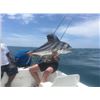 Image 1 : Fish Slamming Safari - Blue Marlin, Sail Fish, Roosterfish (2 Anglers)
