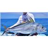 Image 2 : Fish Slamming Safari - Blue Marlin, Sail Fish, Roosterfish (2 Anglers)
