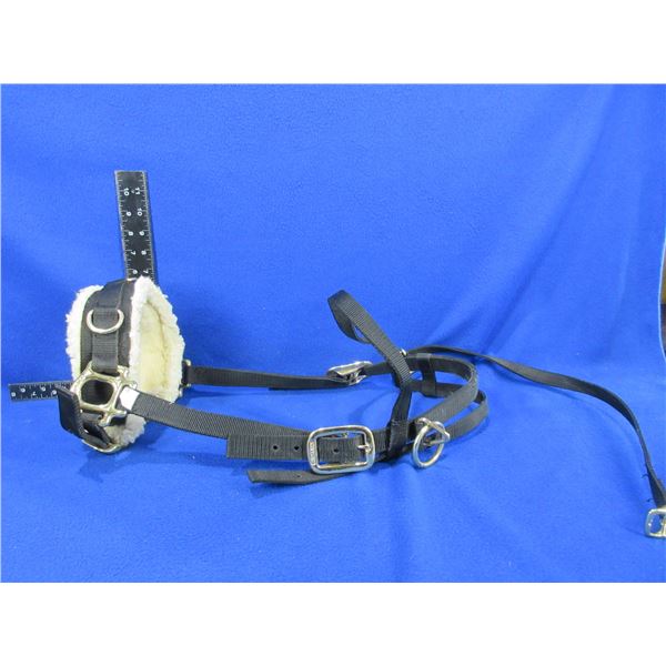 Mustang Brand Horse Halter with Padding