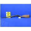 Image 1 : Non-Restricted - Stevens Model 70 Pump Action in 22 Short