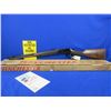 Image 1 : NEW - Non-Restricted - Winchester Model 94AE XTR Deluxe Carbine in 30-30 Win