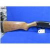 Image 6 : Non-Restricted - Winchester Model 2200 in 12 Ga. 2 3/4" Full