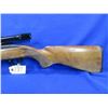 Image 2 : Non-Restricted - Winchester Model 490 Semi Auto in 22LR