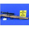 Image 7 : Non-Restricted - Winchester Model 490 Semi Auto in 22LR