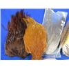 Image 2 : Lot of Assorted Fur and Feathers for Fly-Tying