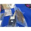 Image 4 : Lot of Assorted Fur and Feathers for Fly-Tying
