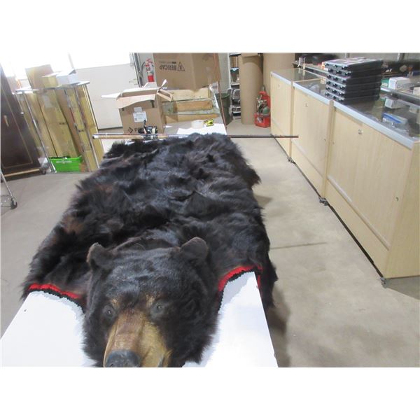Bear Skin Rug - 72" Nose to Tail, 76" Front Paw to Front Paw