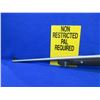 Image 4 : Non-Restricted - Ruger All-Weather 77/22 in 22LR