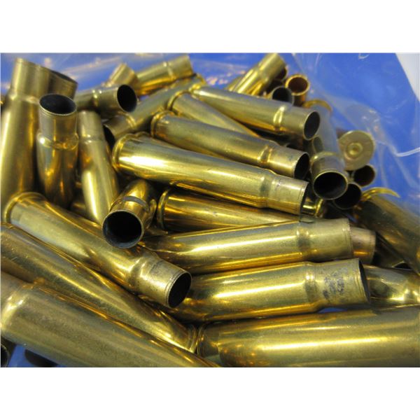 Brass Only - 303 British Unprimed - Bag of 76